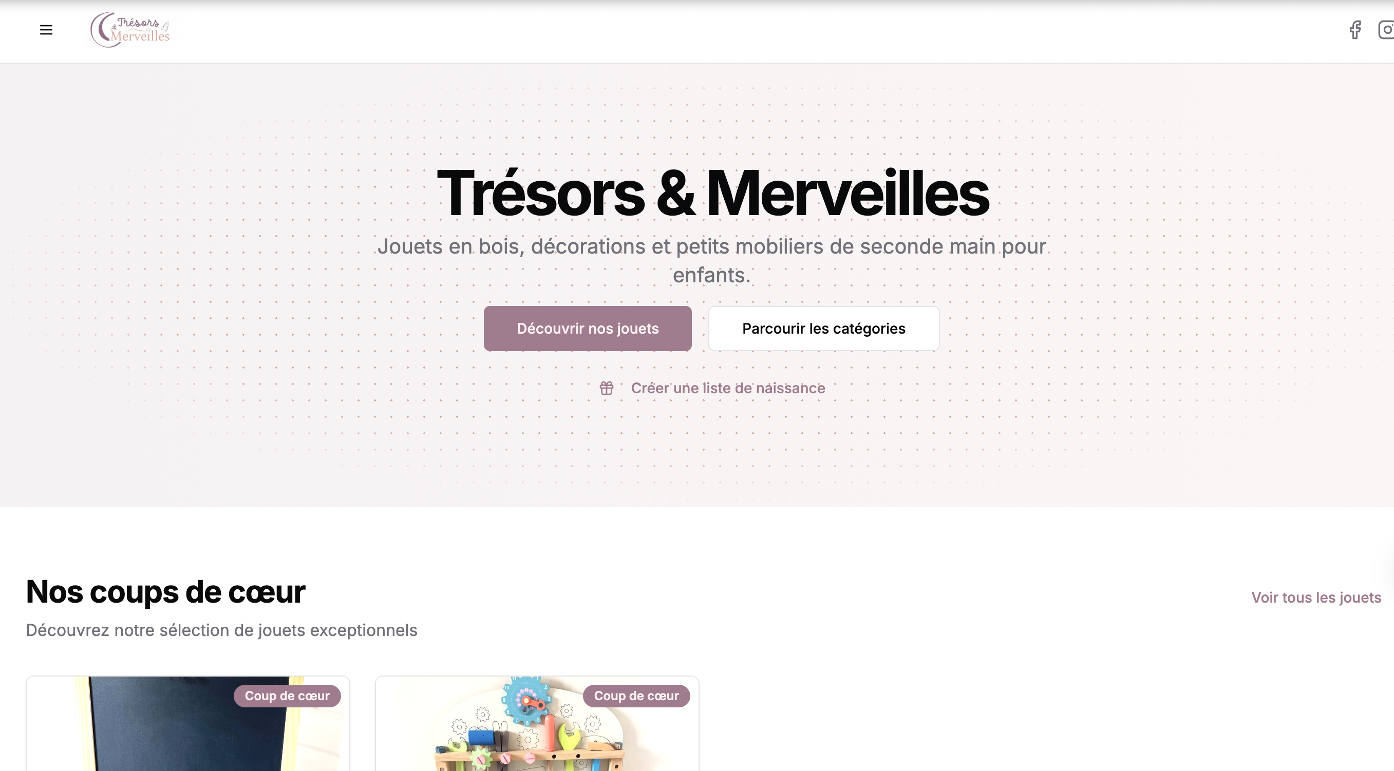 Image du projet Trésors & Merveilles